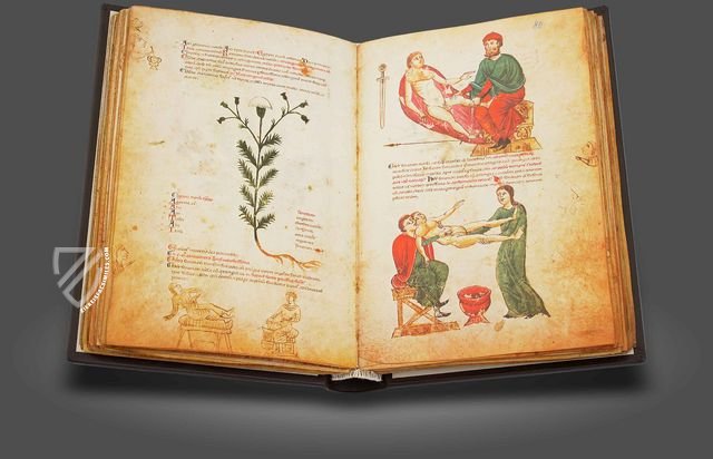 Medicina Antiqua Facsimile Edition