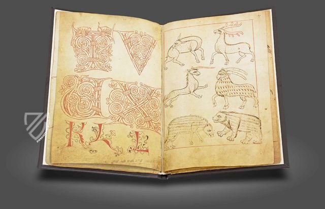 Model Book of Rein – Akademische Druck- u. Verlagsanstalt (ADEVA) – Cod. Vindob. 507 – Österreichische Nationalbibliothek (Vienna, Austria)