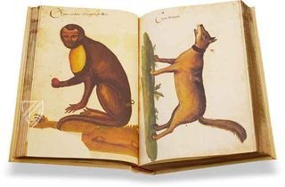 Natural History Atlas of Philip II - Pomar Codex
