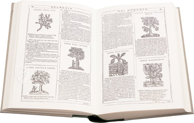 New Herbarium by Castore Durante – Biblioteca del Museo Regionale di Scienze Naturali di Torino (Turin, Italy)