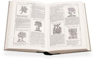 New Herbarium by Castore Durante