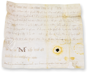 Ostarrichi Document Facsimile Edition