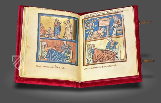 Oxford Bible Pictures – Faksimile Verlag – Ms. W.106 – Walters Art Museum (Baltimora, USA) / Musée Marmottan (Paris, France)