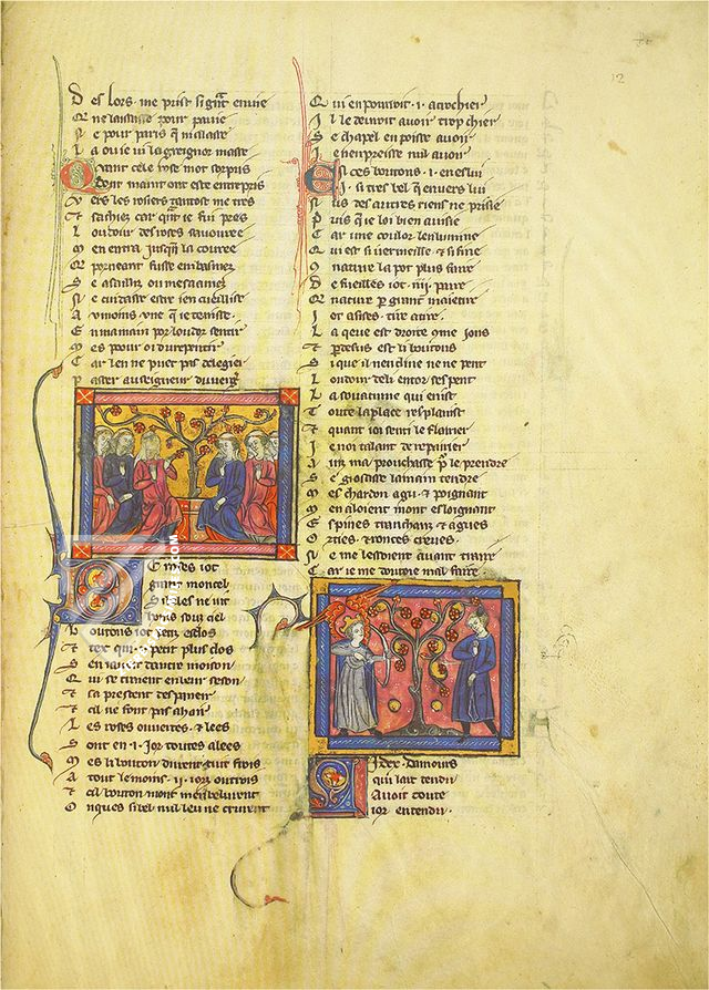 Roman de la Rose of Berthaud d'Achy β Belser Verlag β Urb. lat. 376 β Biblioteca Apostolica Vaticana (Vatican City, State of the Vatican City) Roman de la Rose of Berthaud d'Achy β Belser Verlag β Urb. lat. 376 β Biblioteca Apostolica Vaticana (Vatican City, State of the Vatican City)