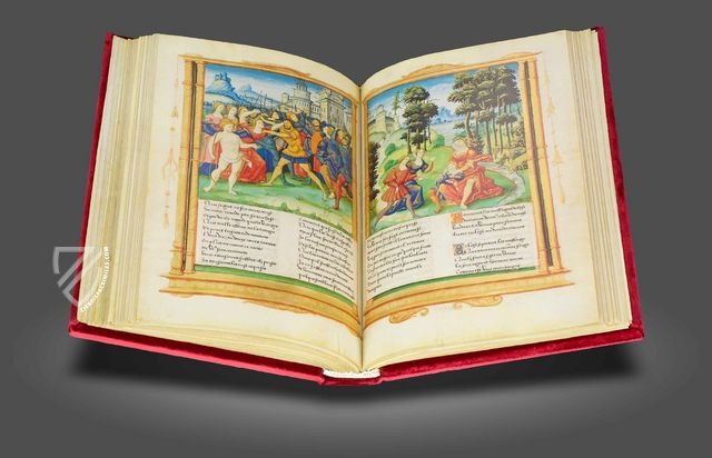 The Romance of the Rose for King François I Facsimile Edition
