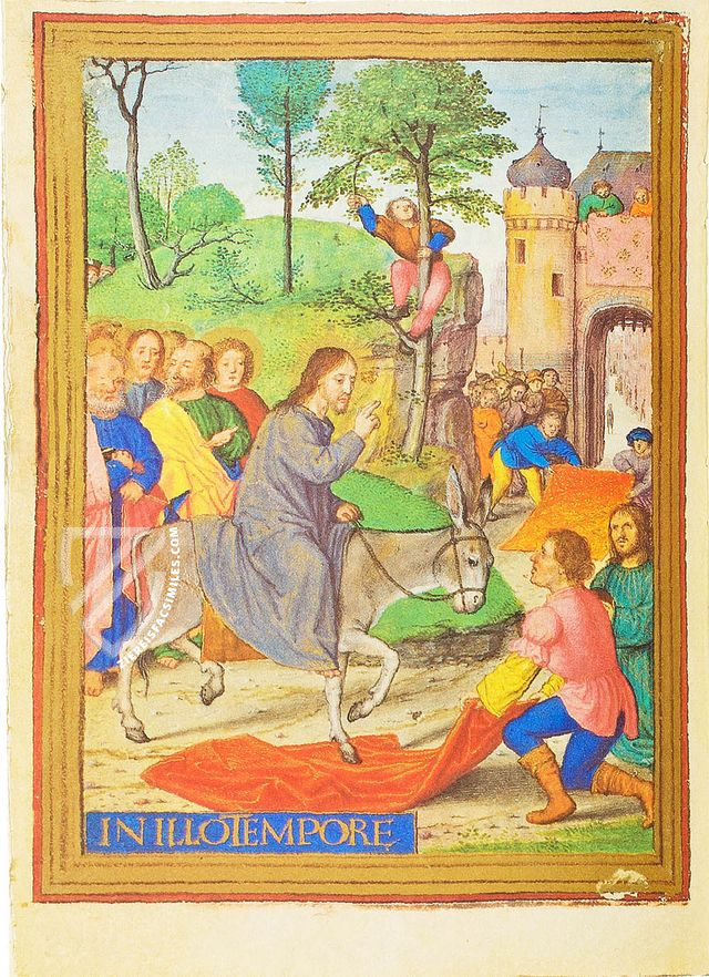 Stundenbuch der Sforza (Luxury Edition)