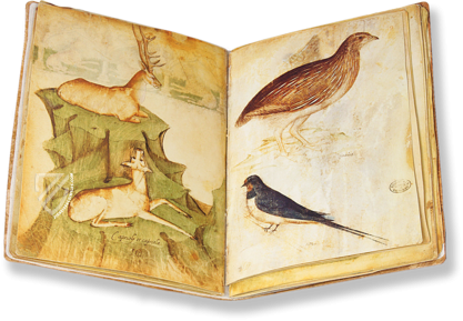 Model Book of Giovannino de Grassi – Faksimile Verlag – ms. VII. 14 – Biblioteca Civica "Angelo Mai" (Bergamo, Italy)