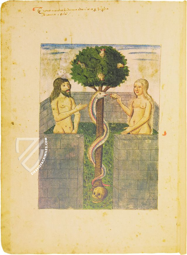 Speculum Animae – Edilan – Esp. 544 – Bibliothèque nationale de France (Paris, France)