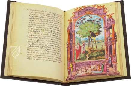 Splendor Solis - Treaty of Alchemy – Patrimonio Ediciones – Ms. All. 113 – Bibliothèque nationale de France (Paris, France)
