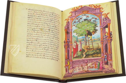 Paris Splendor Solis – Patrimonio Ediciones – Ms. All. 113 – Bibliothèque nationale de France (Paris, France)