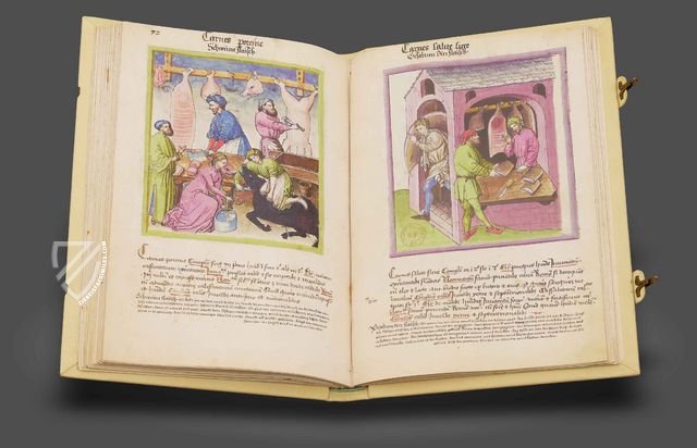 Tacuinum Sanitatis - Codex Paris Facsimile Edition