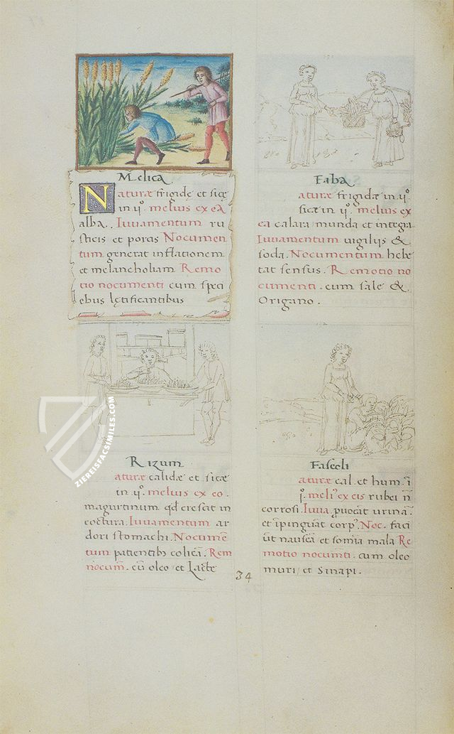 Tacuinum Sanitatis - Codex Vienna – Akademische Druck- u. Verlagsanstalt (ADEVA) – Cod. Vindob. 2396 – Österreichische Nationalbibliothek (Vienna, Austria)