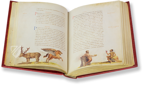 The Animal Book of Pier Candido – Belser Verlag – Urb. lat. 276 – Biblioteca Apostolica Vaticana (Vatican City, State of the Vatican City)