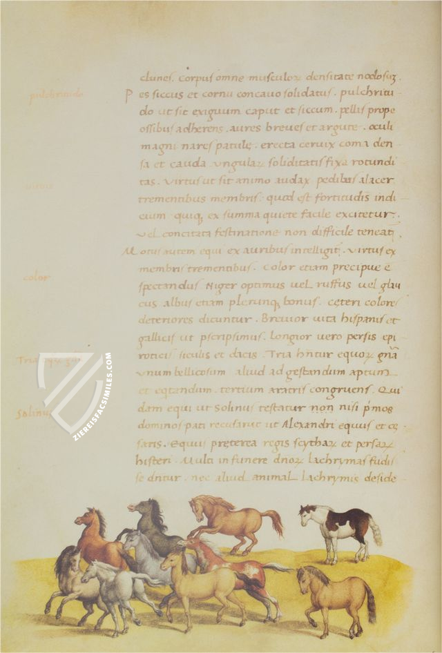 Tierbuch des Petrus Candidus (Leather edition)