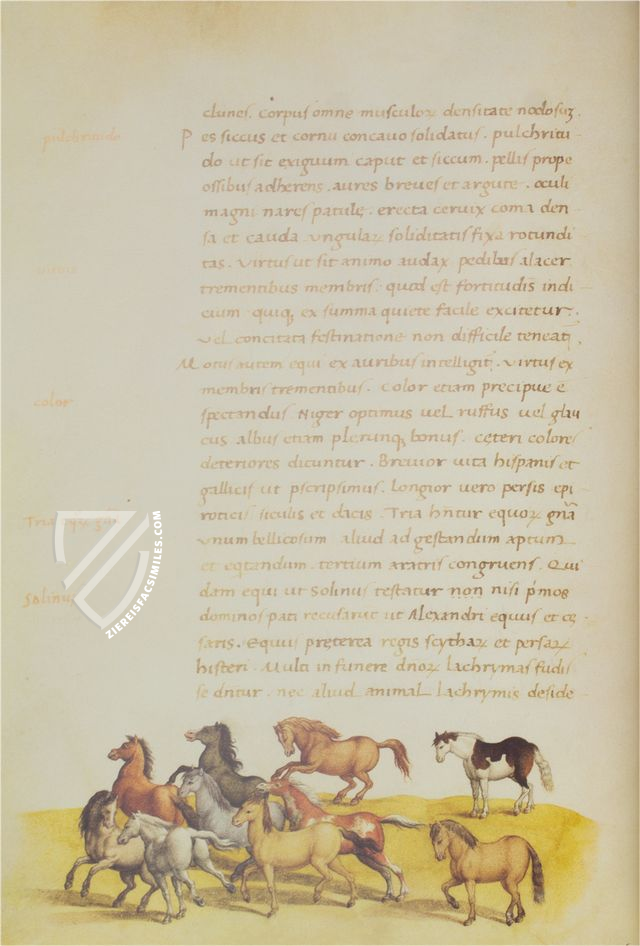 The Animal Book of Pier Candido – Belser Verlag – Urb. lat. 276 – Biblioteca Apostolica Vaticana (Vatican City, State of the Vatican City)