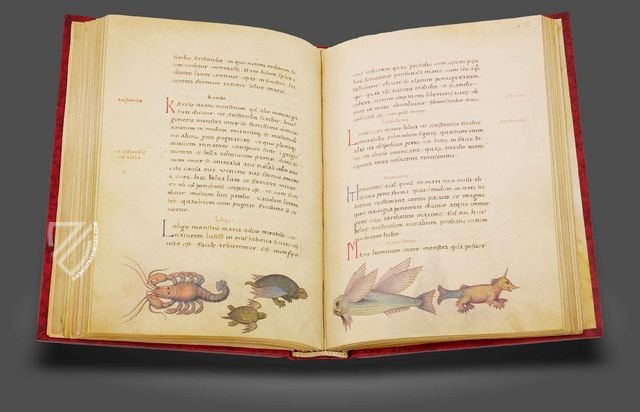 The Animal Book of Pier Candido Facsimile Edition