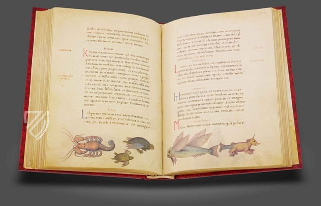 The Animal Book of Pier Candido – Belser Verlag – Urb. lat. 276 – Biblioteca Apostolica Vaticana (Vatican City, State of the Vatican City)