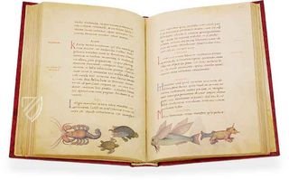 The Animal Book of Pier Candido Facsimile Edition