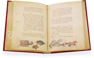 The Animal Book of Pier Candido – Belser Verlag – Urb. lat. 276 – Biblioteca Apostolica Vaticana (Vatican City, State of the Vatican City)