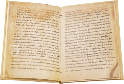 The Homilies of Organyà – Millennium Liber – Ms. 289 – Biblioteca Nacional de Catalunya (Barcelona, Spain)