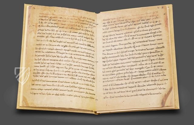 The Homilies of Organyà Facsimile Edition