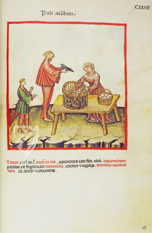 Theatrum Sanitatis β M. Moleiro Editor β Ms. 4182 β Biblioteca Casanatense (Rome, Italy) Theatrum Sanitatis β M. Moleiro Editor β Ms. 4182 β Biblioteca Casanatense (Rome, Italy)