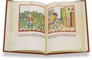 Theatrum Sanitatis – M. Moleiro Editor – Ms. 4182 – Biblioteca Casanatense (Rome, Italy)
