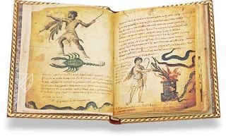 Theriaka and Alexipharmaka by Nicander – M. Moleiro Editor – Supplément grec 247 – Bibliothèque nationale de France (Paris, France)