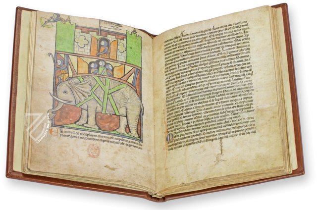 Westminster Abbey Bestiary – Siloé, arte y bibliofilia – Ms. 22 – Westminster Abbey Library (London, United Kingdom) Westminster Abbey Bestiary – Siloé, arte y bibliofilia – Ms. 22 – Westminster Abbey Library (London, United Kingdom)
