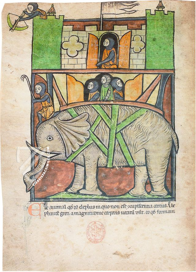 Westminster Abbey Bestiary – Siloé, arte y bibliofilia – Ms. 22 – Westminster Abbey Library (London, United Kingdom) Westminster Abbey Bestiary – Siloé, arte y bibliofilia – Ms. 22 – Westminster Abbey Library (London, United Kingdom)