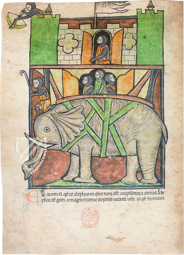 Westminster Abbey Bestiary – Siloé, arte y bibliofilia – Ms. 22 – Westminster Abbey Library (London, United Kingdom)