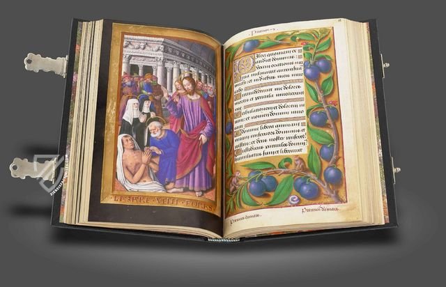 Great Hours of Anne of Brittany – M. Moleiro Editor – Lat. 9474 – Bibliothèque nationale de France (Paris, France)