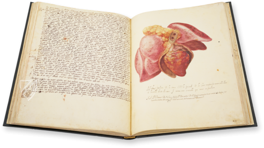 Anatomia depicta Facsimile Edition