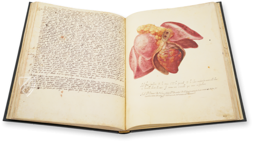 Anatomia depicta – Istituto dell'Enciclopedia Italiana - Treccani – Nuove Accessioni 329 (Grandi Formati 64) – Biblioteca Nazionale Centrale di Firenze (Florence, Italy)