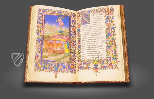 Petrarca: Trionfi - Rome Codex – Istituto dell'Enciclopedia Italiana - Treccani – 55.K.10 – Biblioteca dell'Accademia Nazionale dei Lincei e Corsiniana (Rome, Italy)