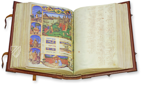 Canon Medicinae Avicenna Facsimile Edition