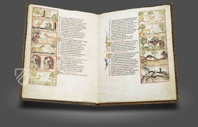 Aesop's Fables – AyN Ediciones – Ms. 1213 – Biblioteca Universitaria di Bologna (Bologna, Italy)