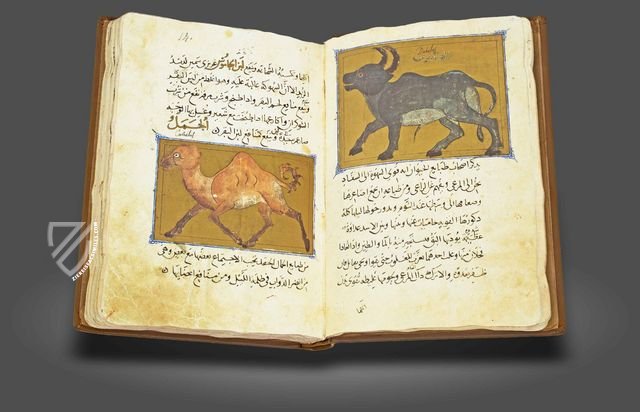 The Book of the Usefulness of Animals – AyN Ediciones – ms. árabe 898 – Real Biblioteca del Monasterio (San Lorenzo de El Escorial, Spain)