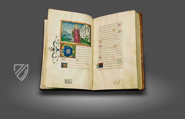 Officium beatae mariae virginis of Anna Sforza – Imago – Lat. 74 = alfa Q. 9. 31 – Biblioteca Estense Universitaria (Modena, Italy) Officium beatae mariae virginis of Anna Sforza – Imago – Lat. 74 = alfa Q. 9. 31 – Biblioteca Estense Universitaria (Modena, Italy)