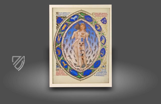 The Golden Calendar – Coron Verlag – Several Owners