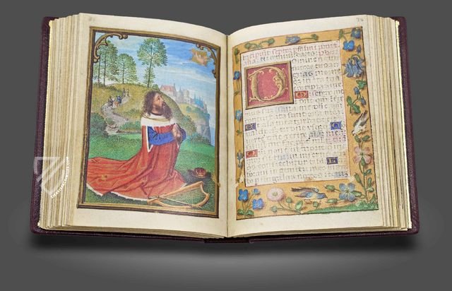 Van Damme Hours – Faksimile Verlag – MS M.451 – Morgan Library & Museum (New York, USA)