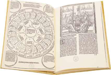 Compendio de la Salud Humana – Vicent Garcia Editores – I/51 – Biblioteca Nacional de España (Madrid, Spain)
