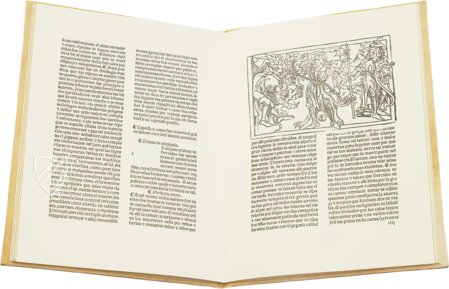The Twelve Labors of Hercules – Vicent Garcia Editores – Inc. 2441 – Biblioteca Nacional de España (Madrid, Spain)