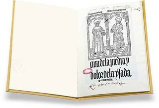 Cura de la Piedra y Dolor de la Ijada y Colica Rrenal – Vicent Garcia Editores – Inc. 205 – Biblioteca Histórico Médica de la Universidad de València (Valencia, Spain)