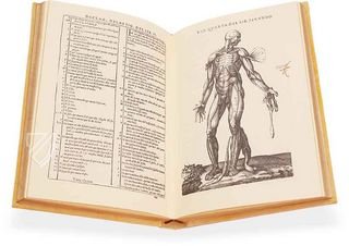 Historia de la Composicion del Cuerpo Humano – Vicent Garcia Editores – D-44bis – Biblioteca Histórico Médica de la Universidad de València (Valencia, Spain)