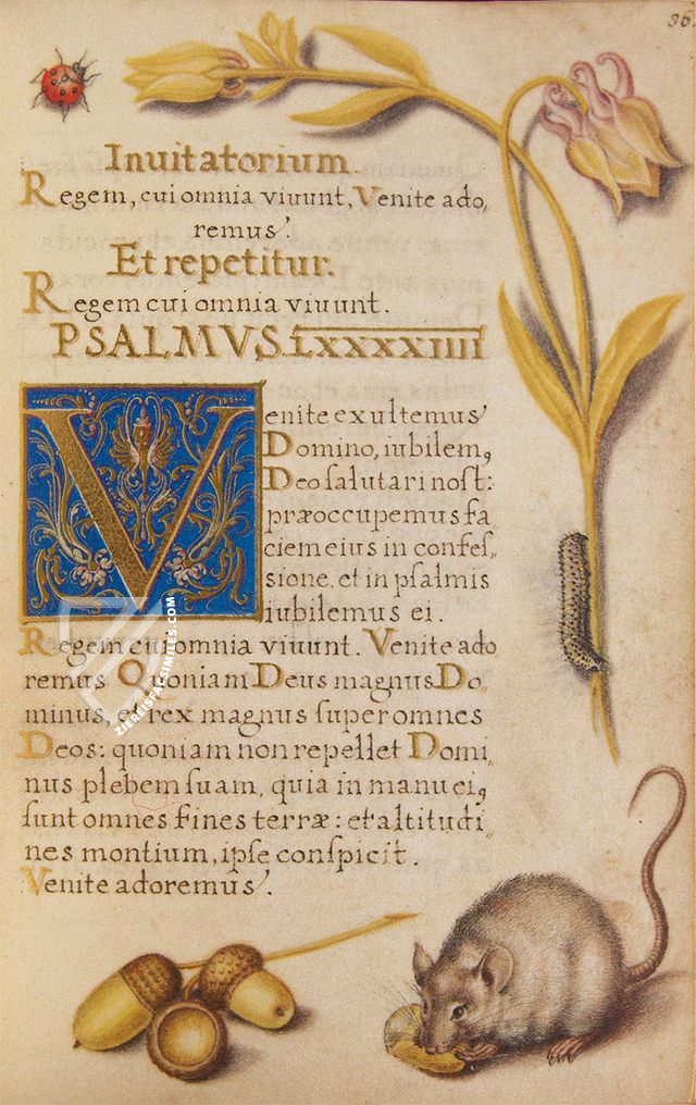 Prayer Book of Elector Maximilian I of Bavaria – Coron Verlag – Clm 23640 – Bayerische Staatsbibliothek (Munich, Germany)