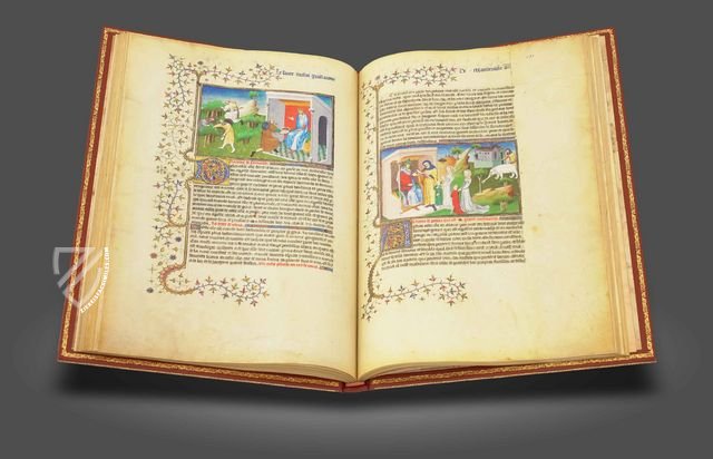 The Travels of Sir Jean de Mandeville Facsimile Edition
