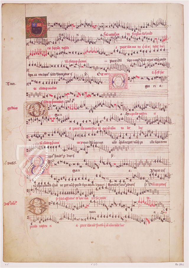 Eton Choirbook – DIAMM – Ms 178 – Eton College Library (Eton, United Kingdom)