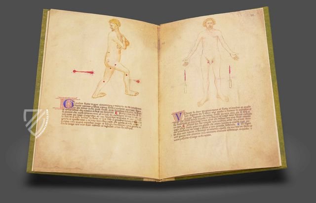 Bartolomeo Squarcialupi - Libro de cauteri – Nova Charta – ms. Fanzago 2, I, 5, 28 – Biblioteca Medica Vincenzo Pinali (Padua, Italy)