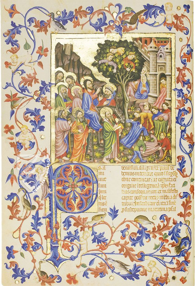 Breviary of Martin of Aragon – Reales Sitios – MSS Rothschild 2529 – Bibliothèque nationale de France (Paris, France)